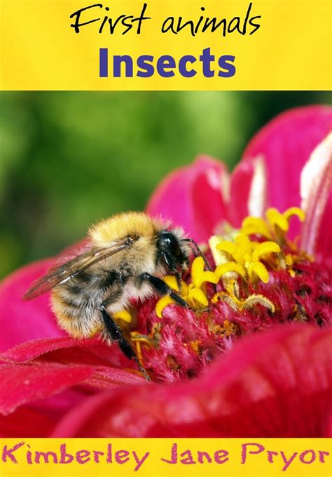 Insects (First animals Book 4) eBook : Pryor, Kimberley Jane: Amazon.in ...