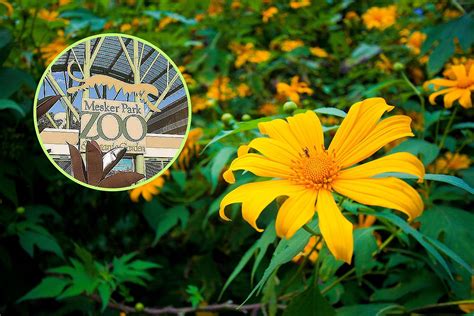 Mesker Park Zoo Extend Hours During “Twilight Tuesdays” All Month Long