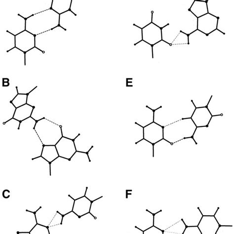 Image result for Base pair Structure