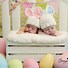 Image result for Newborn Rabbit Kits