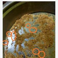 Kellogg — Worms in packet of Kellogg's cornflakes