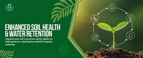 TrustBasket Vermicompost 5kg 100% Natural Organic Fertilizer for Plants ...