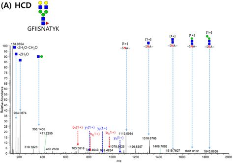Investigation of Site-Specific Differences in Glycan Microheterogeneity ...