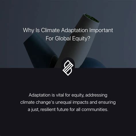 Global Ethical Frameworks → Term