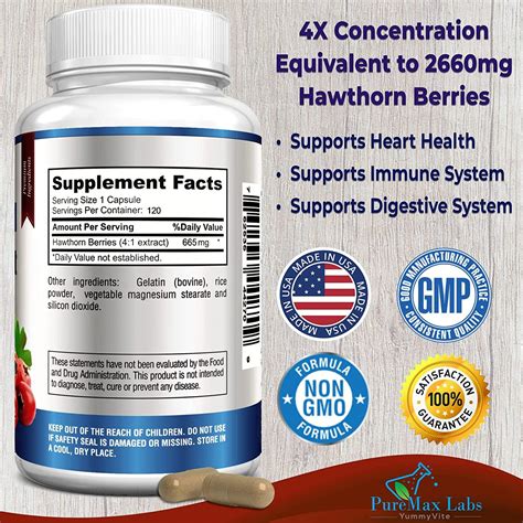 Hawthorn Berry Extract 4:1 (120 Capsules) - Supports Healthy Blood ...