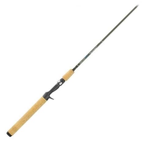 Falcon Rods Coastal Casting Rod (6-Feet x 6-Inch/Medium) : Amazon.in ...