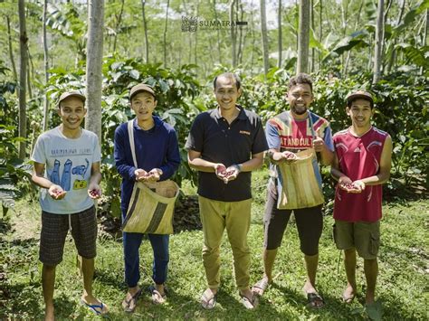 Image result for Java Sumatra Coffee Beans