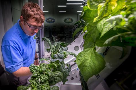 Why Can’t People Grow Plants Successfully in Space? - Space Exploration