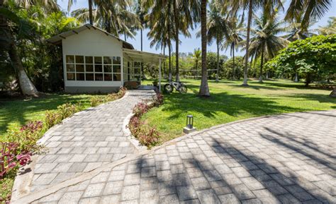 Photo Gallery | The Mangifera