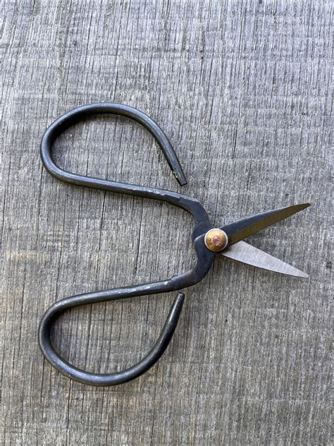 Image result for Scirrors Using