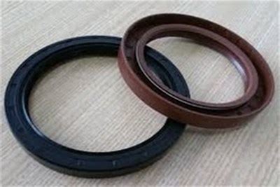 Viton Oil Seal Manufacturer in Pune, Viton Oil Seal in Pune