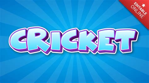 Image result for Fun Code Cricket