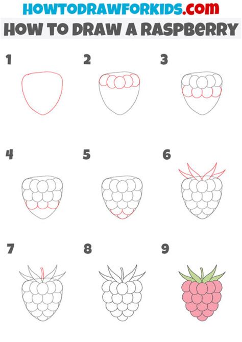 Image result for How to Draw Raspberry Pi