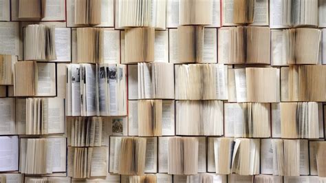 Image result for Language Editing