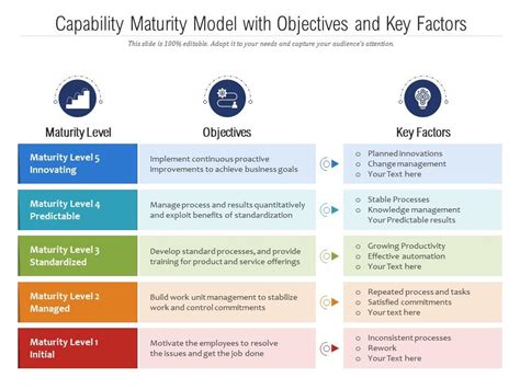 Image result for Capability Maturity View