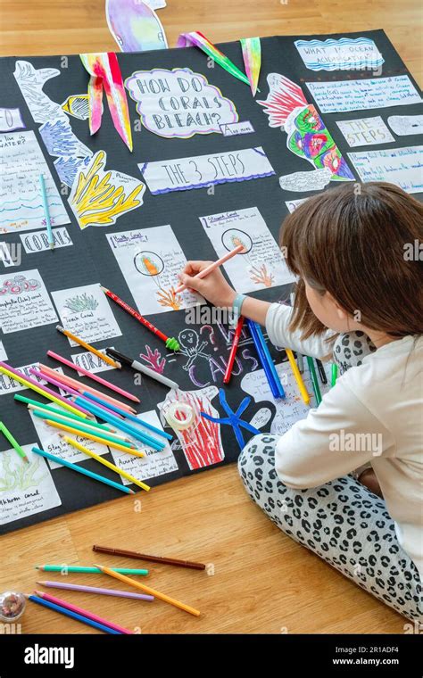 Science Project for 6 Grade 的图像结果