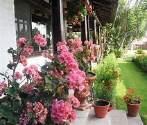 Image result for Beautiful Flowers and Animals