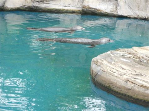 𝗧𝗛𝗘 𝗕𝗘𝗦𝗧 Hotels in Barcaldine of 2026 (with Prices) - Tripadvisor