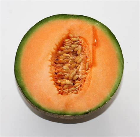 Image result for melon