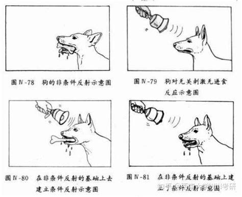 经典条件反射实验情境_word文档在线阅读与下载_免费文档