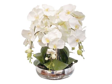 White Orchids In Silver Base | Rana