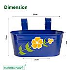 Buy NATURES PLUS Garden Planter Railing Ove Tub - 30.48 cm, Blue Online ...