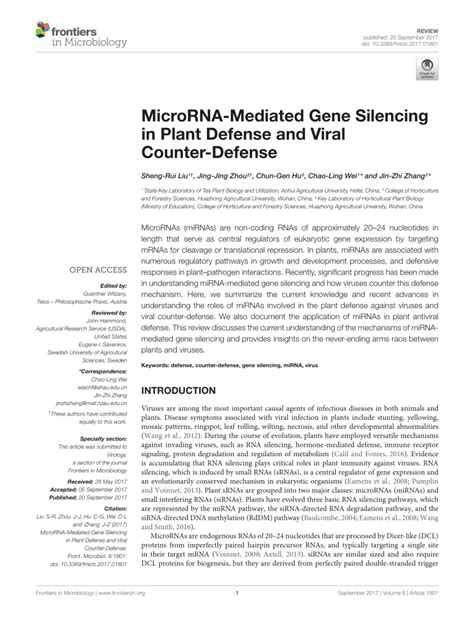 Image result for Gene Expression Control Plant Cells microRNA