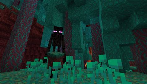 Image result for Nether Update Release Date
