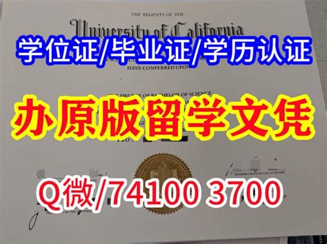 南佛罗里达大学学历认证美国大学文凭如可办理？ | PPT