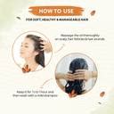 Indus Valley BioOrganic Cold Pressed Sweet Almond Body, Hair, Skin ...