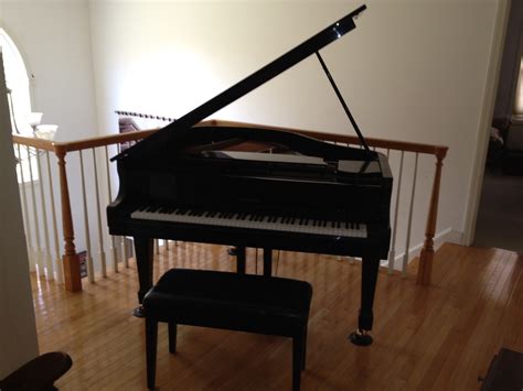 Professional Piano Movers: Professional Piano Movers Take The Stress ...