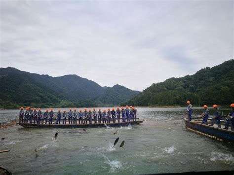 第一期全国大水面生态渔业发展培训班在杭州千岛湖圆满落幕_中国水产流通与加工协会