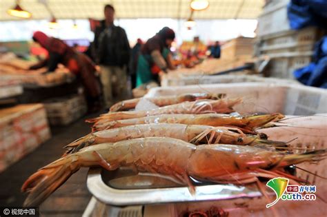 35斤多特大鳘鱼现身青岛海鲜市场引关注 - 海报新闻