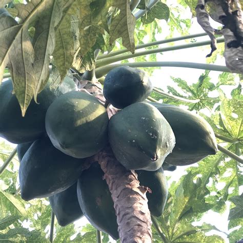 Image result for Loading Mult File Endar