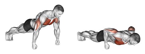Image result for Push UPS Different Types