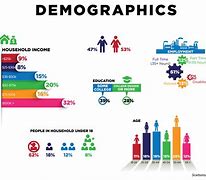 Image result for Demographics