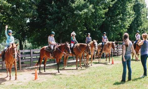 Horse riding school in Bangalore|Horse riding classes