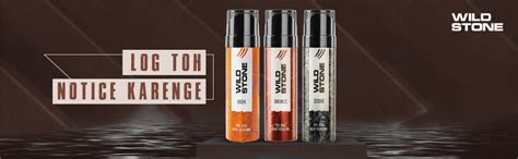 Buy Wild Stone Bronze Perfume Body Spray No Gas Deo for Men Combo Pack ...