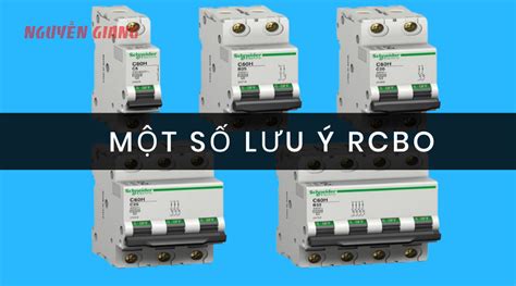 Testing Rcbo 的图像结果