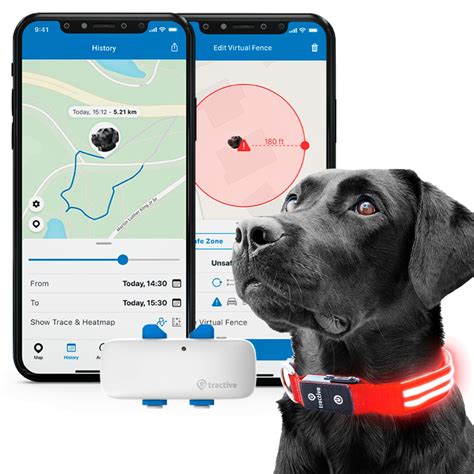 11 Best GPS Dog Collar: Top Picks for Pet Safety & Security - Brilliant ...