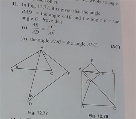 t is given that angle BAD = the angle CAE and angle B = angle D prove ...