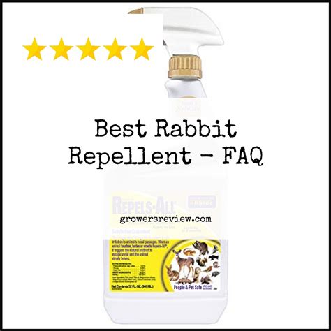 Best Rabbit Repellent – Buying Guide & Review - Growersreview.com