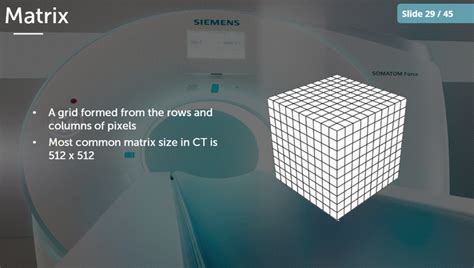 CT Scan Course 的图像结果