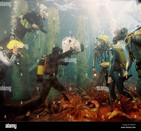 Original Film Title: THE LIFE AQUATIC WITH STEVE ZISSOU. English Title ...