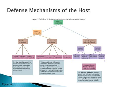 Examples of undoing defense mechanism