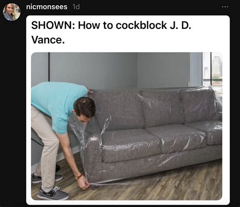 25 of the Best Couch Memes Featuring JD Vance's Ex-Girlfriends | eBaum ...