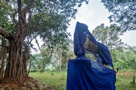 Mumbai: A new metro project threatens to drive away leopards from Aarey