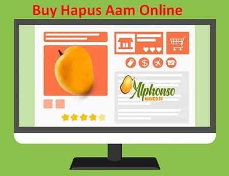 Buy Amazing Hapus Aam online | AlphonsoMango.in