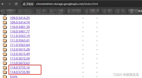Local Shared Object 的图像结果