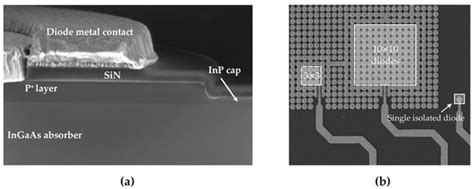 Design and Characterization of 5 μm Pitch InGaAs Photodiodes Using In ...